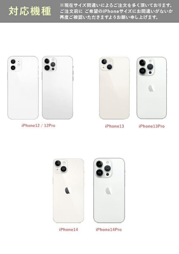 ajew A SCENE エジュー エーシーン B&C kolor scheme case as02-030